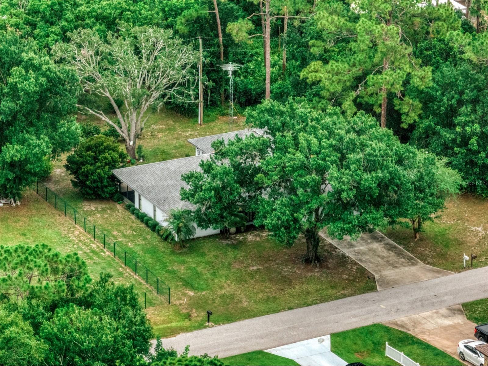 4524 Harder Avenue Sebring FL 33875 P4939148 image50