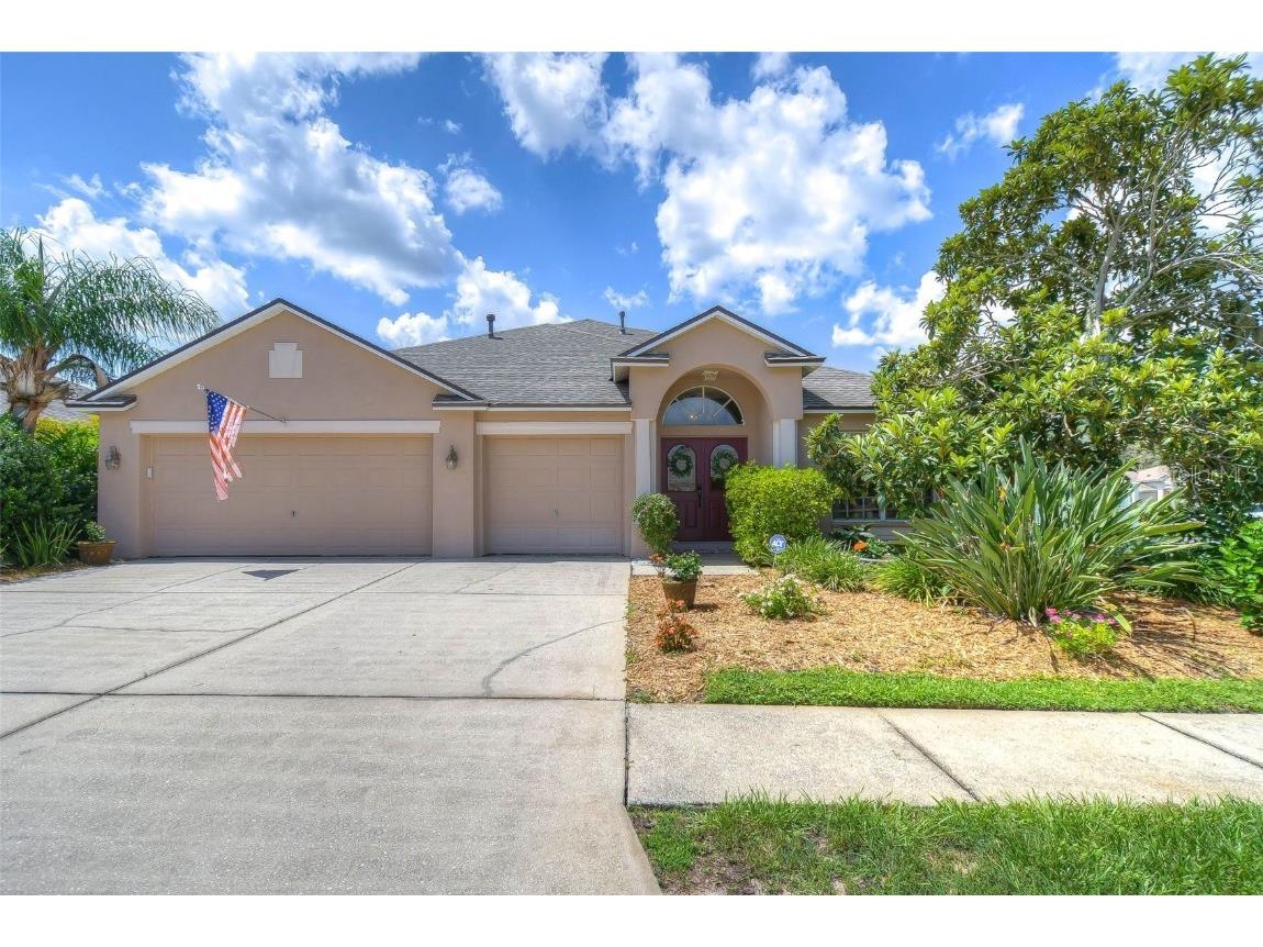 4524 River Overlook Drive Valrico FL 33596 T3459149 image1