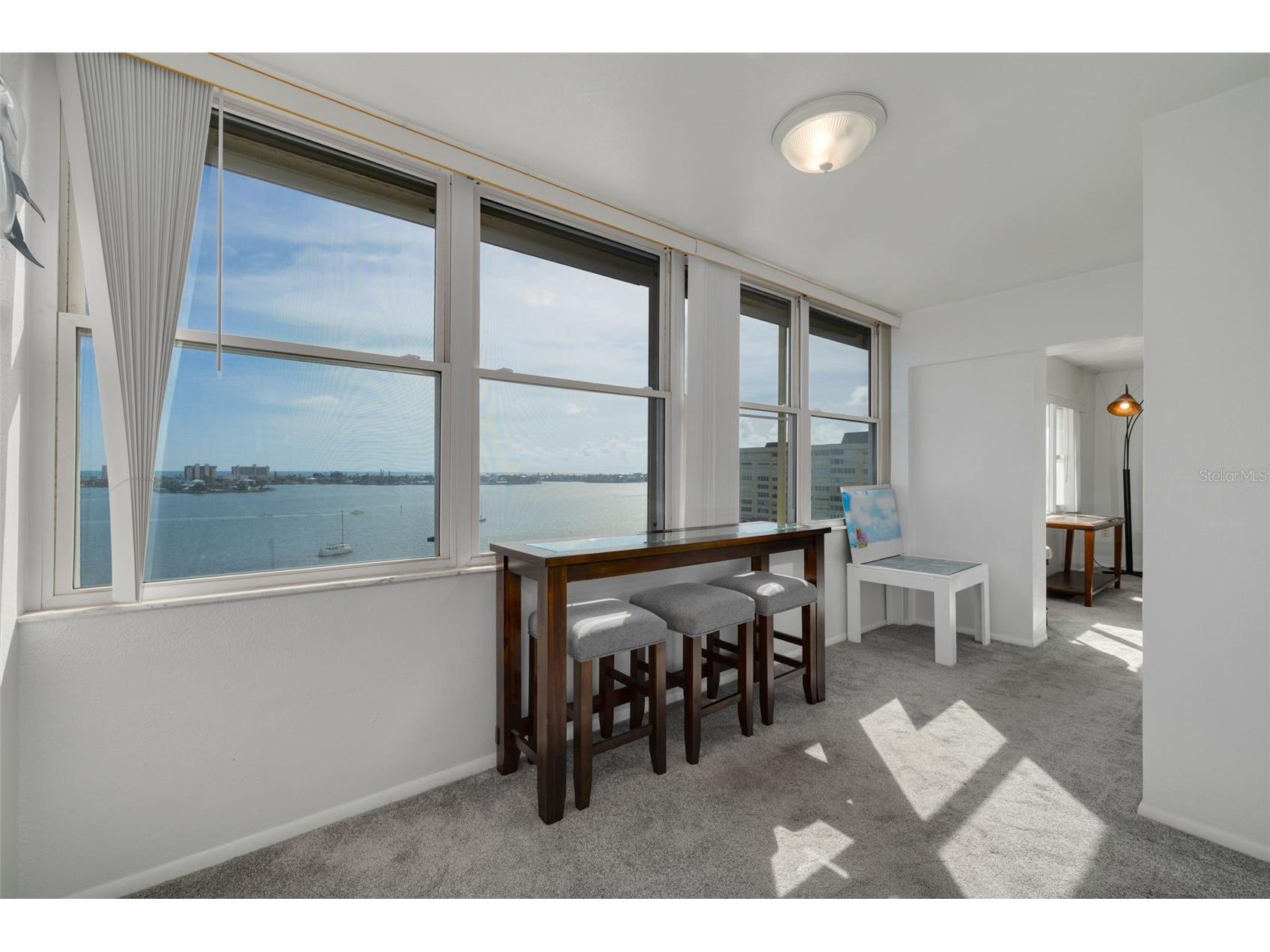 4525 Cove Circle #1002 Saint Petersburg FL 33708 TB8458441 image21