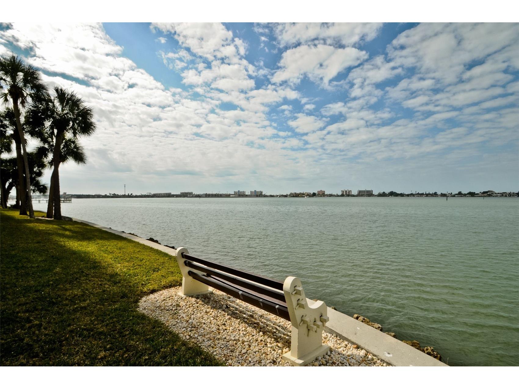 4525 Cove Circle #604 Saint Petersburg FL 33708 TB8471873 image44