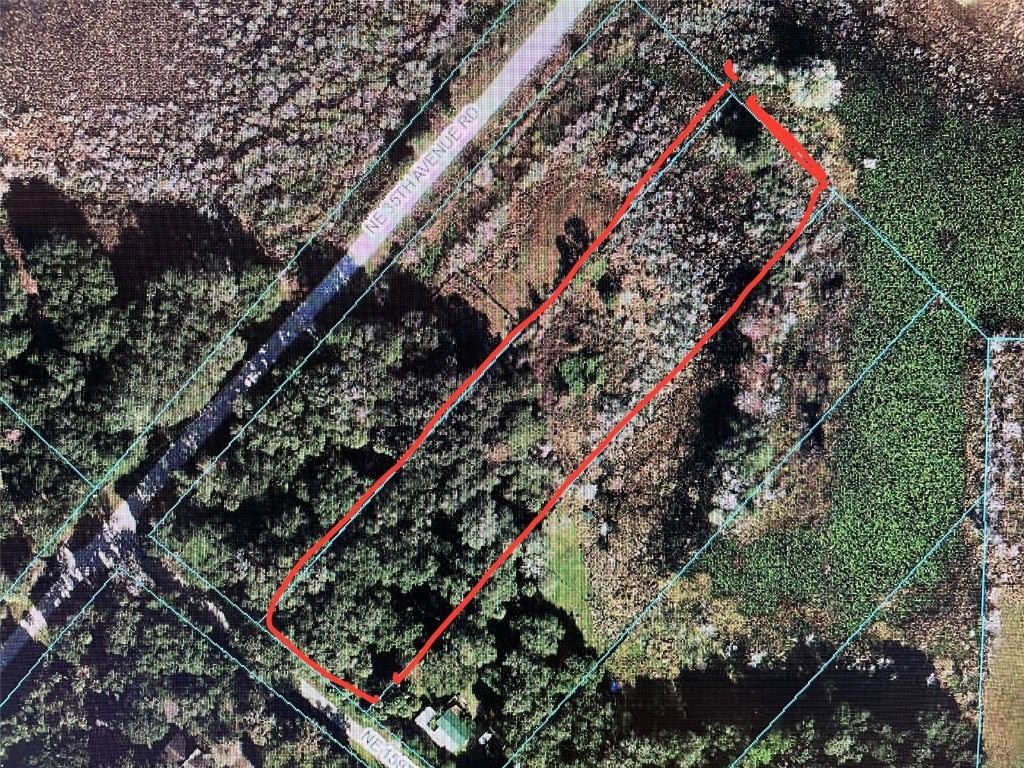 4525 NE 159 Place Citra FL 32113 OM637016 image1