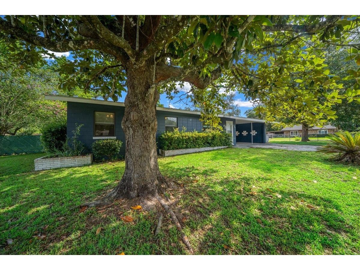 4525 NE 9th Street Ocala FL 34470 OM727193 image2