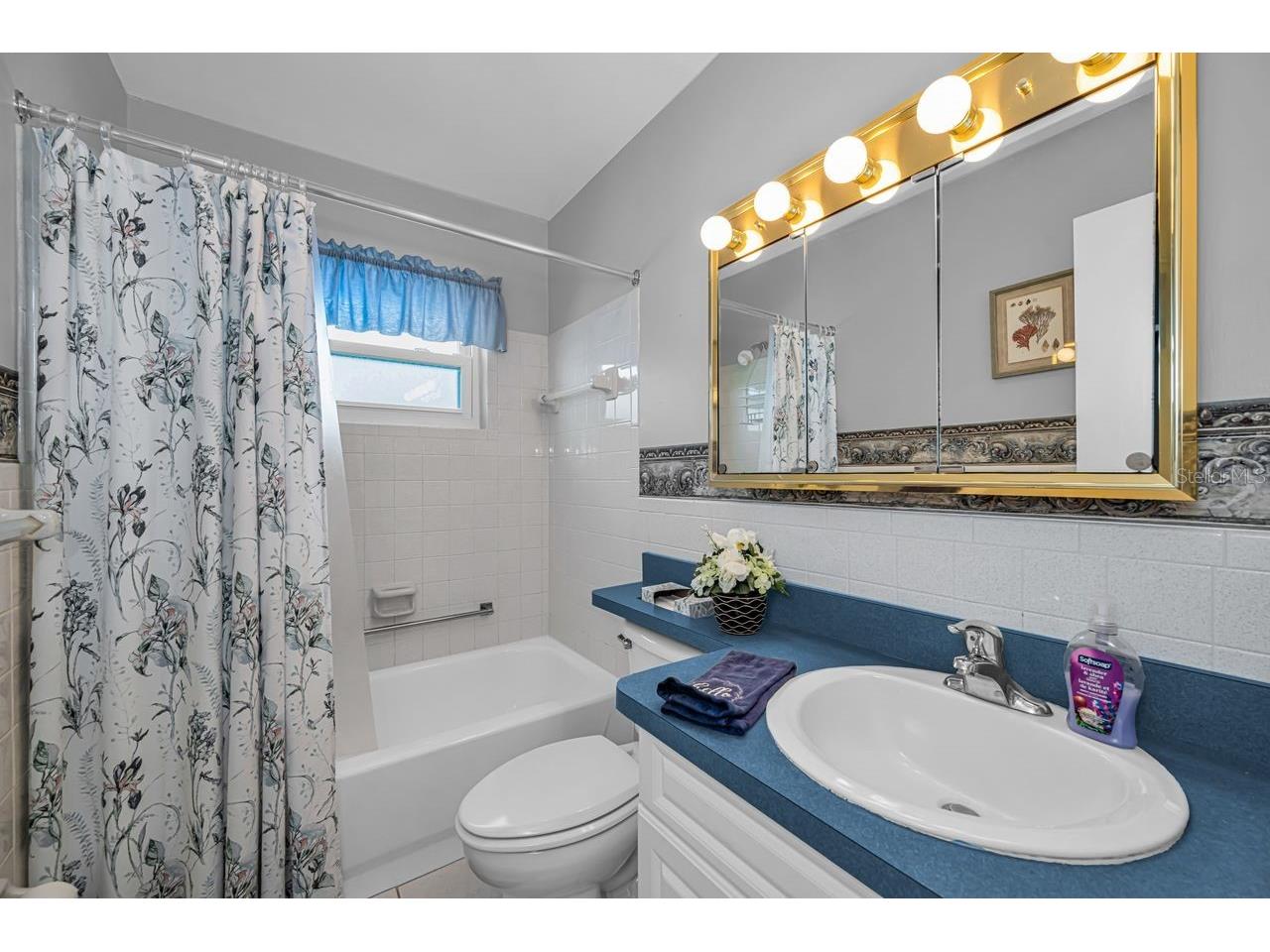 4526 100th Avenue N #4256 Pinellas Park FL 33782 TB8488412 image39