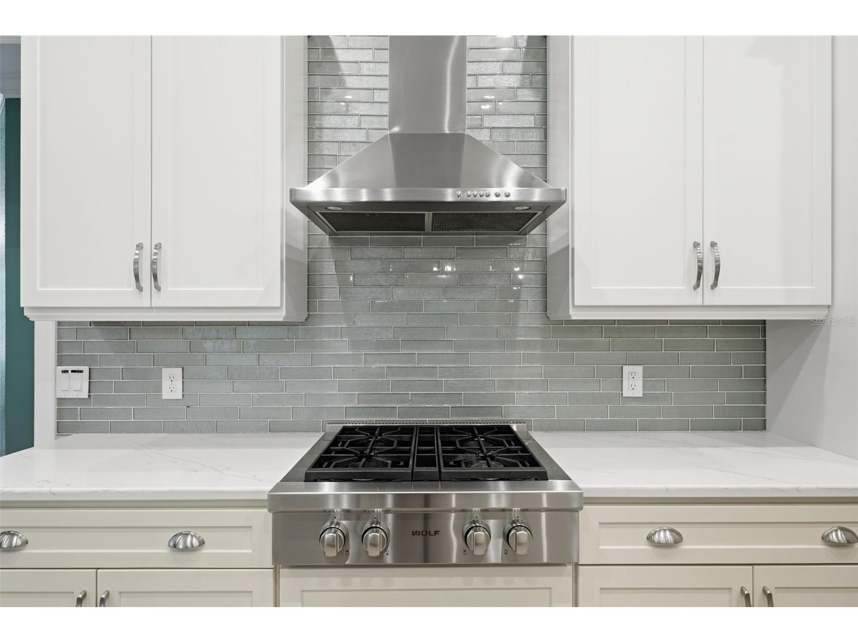 4526 Claire Rose Court Mount Dora FL 32757 G5114739 image21