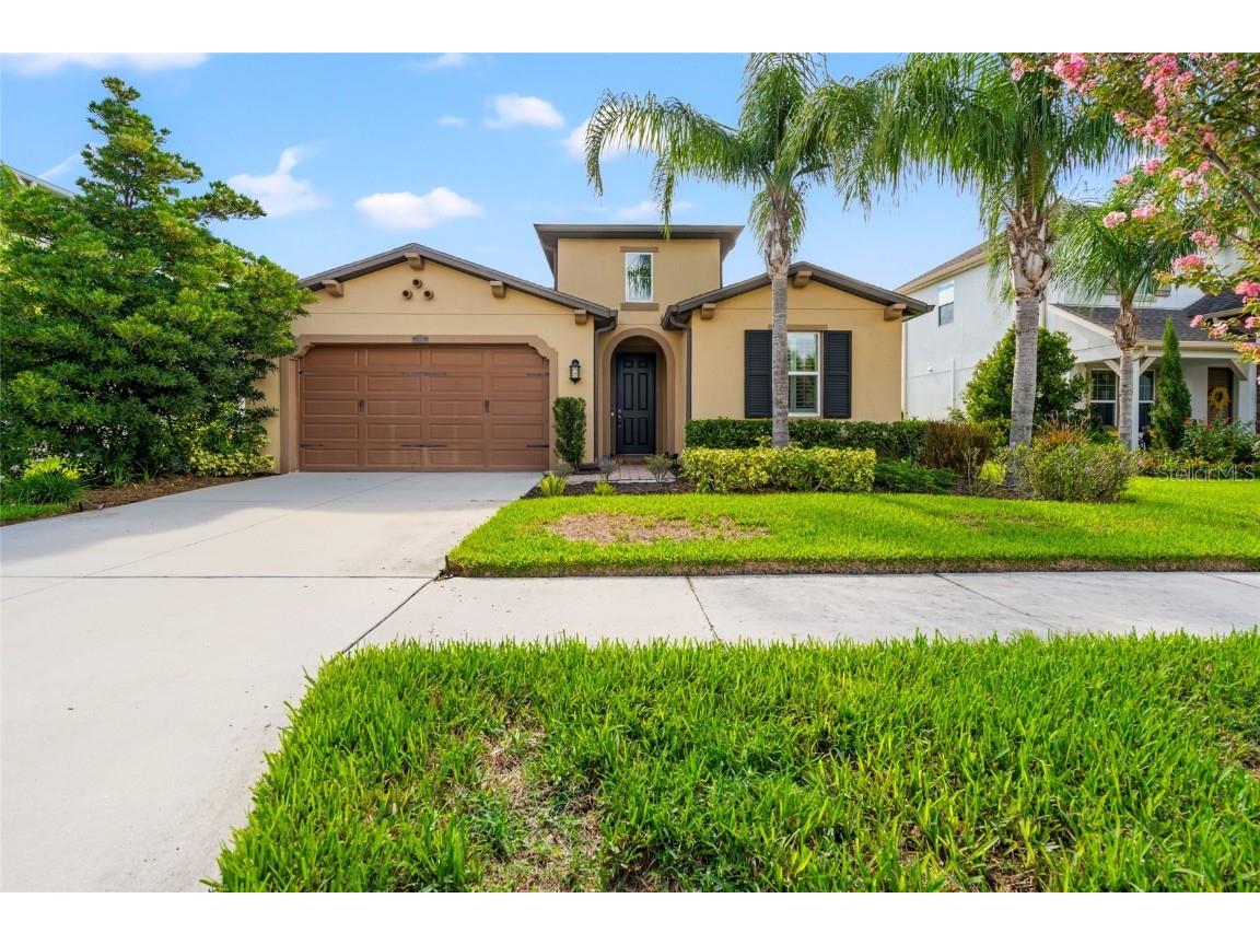 4526 Esperanza Court Wesley Chapel FL 33543 T3536857 image1