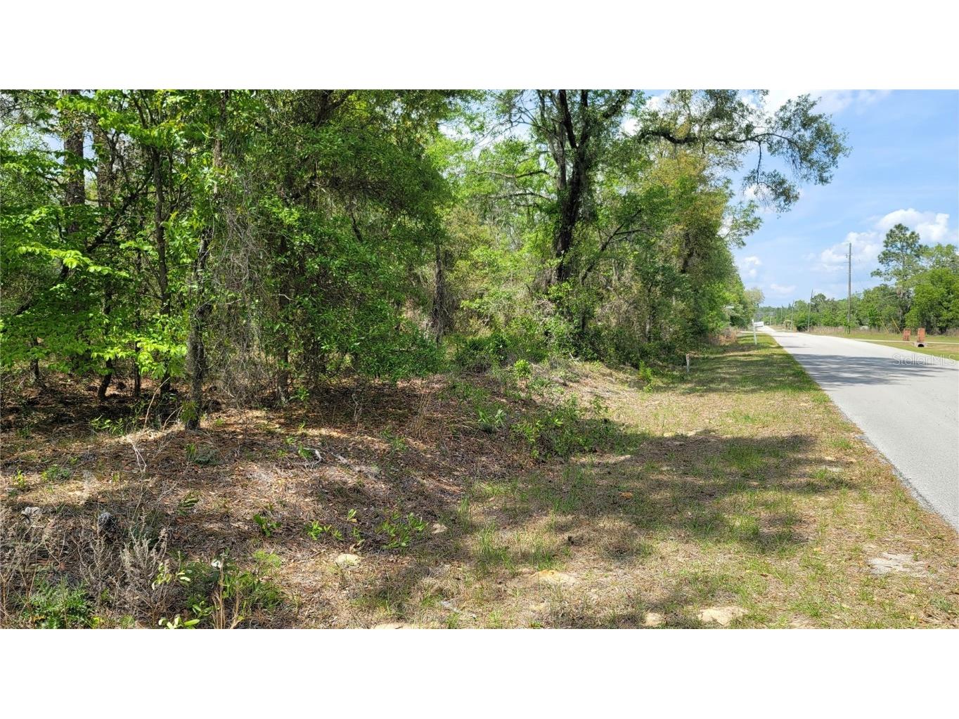 4526 SW Hyacinth Court Dunnellon FL 34431 OM655983 image1