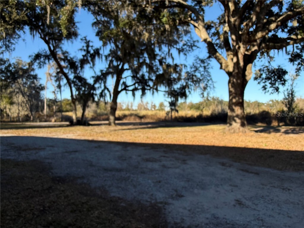 4527 Dove Meadow Lane Lakeland FL 33810 TB8460158 image19
