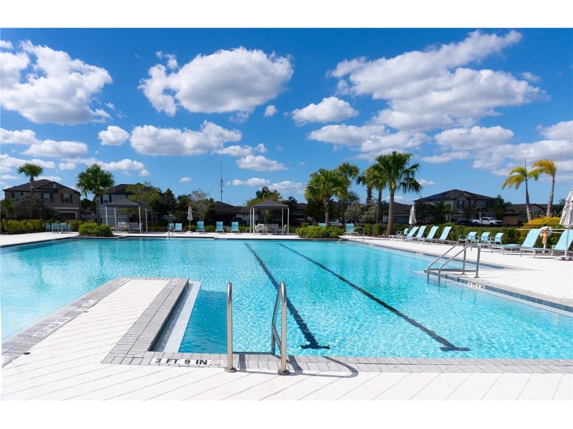 4527 Globe Thistle Drive Tampa FL 33619 TB8442202 image24