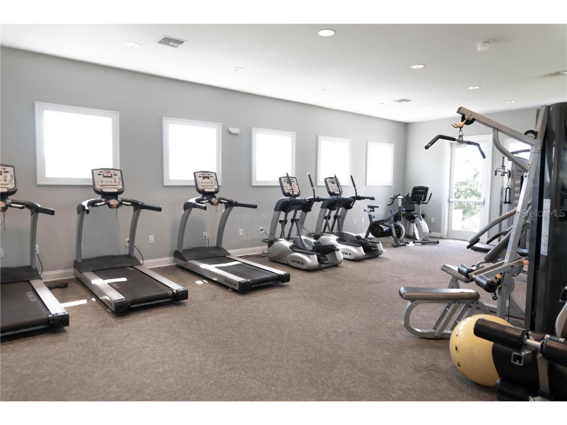 4527 Globe Thistle Drive Tampa FL 33619 TB8442202 image25