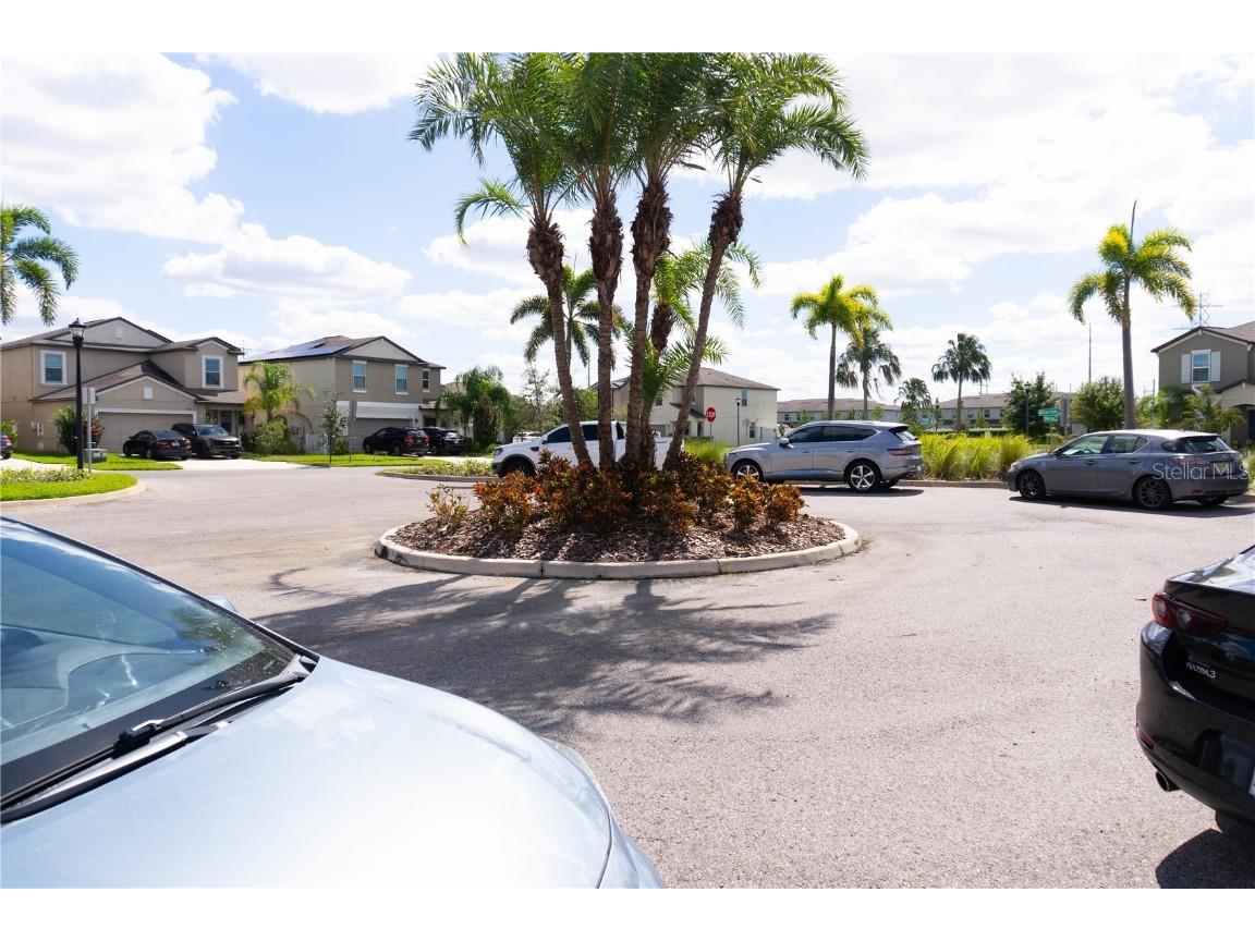 4527 Globe Thistle Drive Tampa FL 33619 TB8442202 image26
