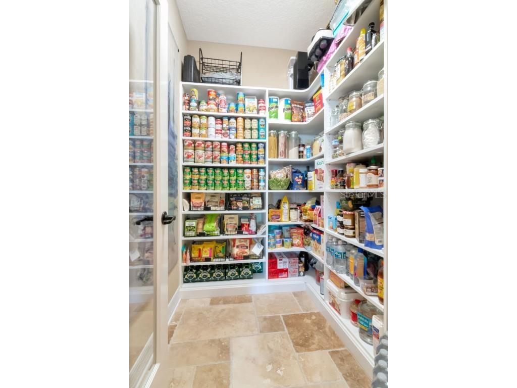 4527 Scarlet Loop Wesley Chapel FL 33544 TB8411553 image13