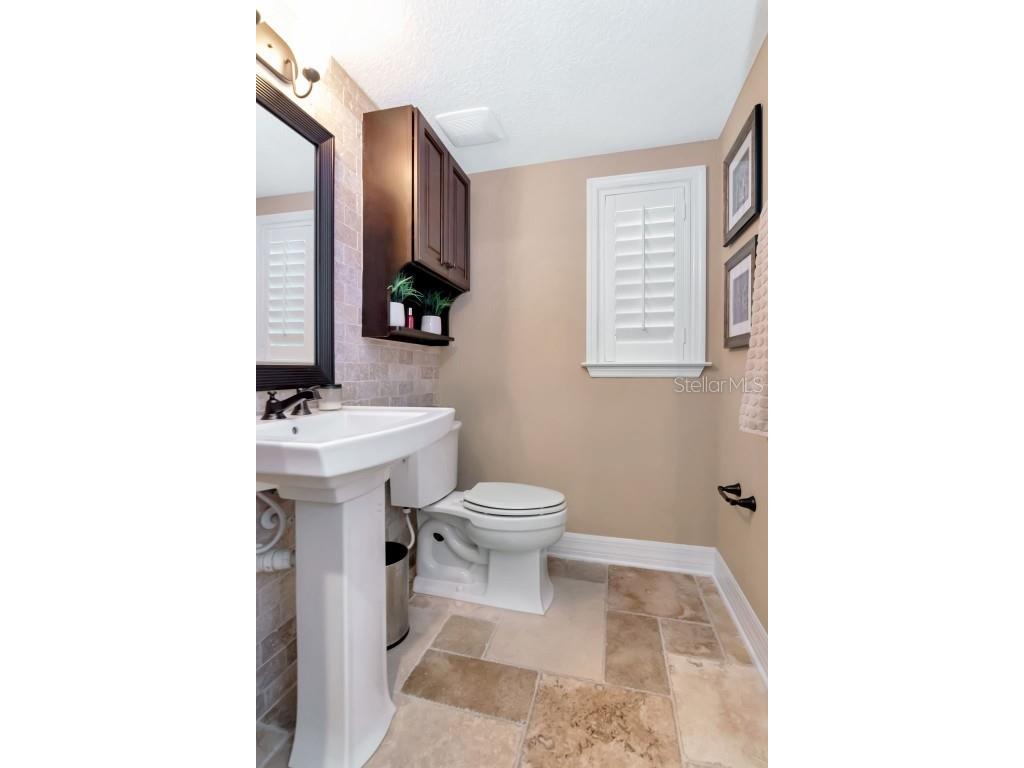 4527 Scarlet Loop Wesley Chapel FL 33544 TB8411553 image15