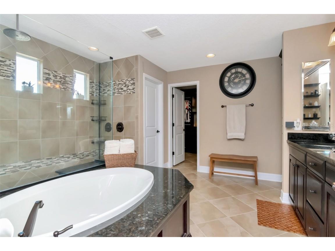 4527 Scarlet Loop Wesley Chapel FL 33544 TB8411553 image18