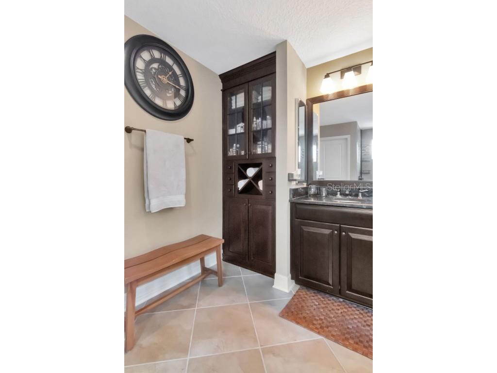 4527 Scarlet Loop Wesley Chapel FL 33544 TB8411553 image21