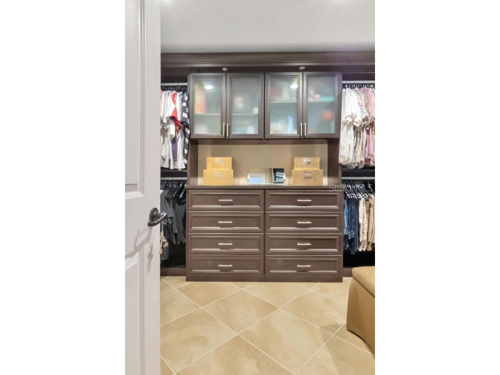 4527 Scarlet Loop Wesley Chapel FL 33544 TB8411553 image24