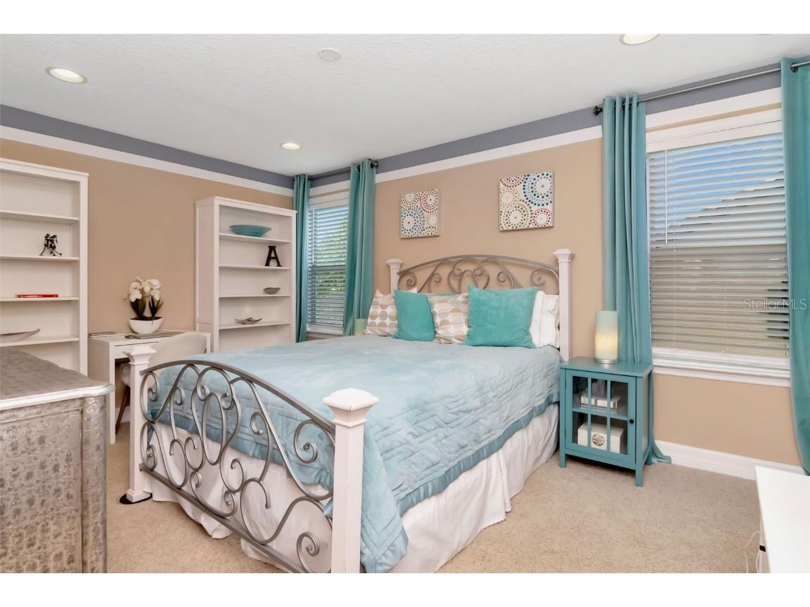 4527 Scarlet Loop Wesley Chapel FL 33544 TB8411553 image25