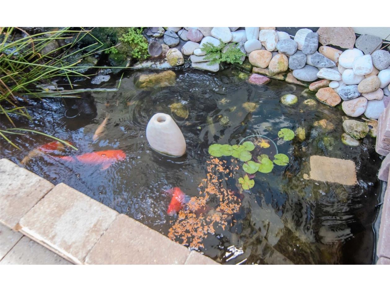 4527 Scarlet Loop Wesley Chapel FL 33544 TB8411553 image32