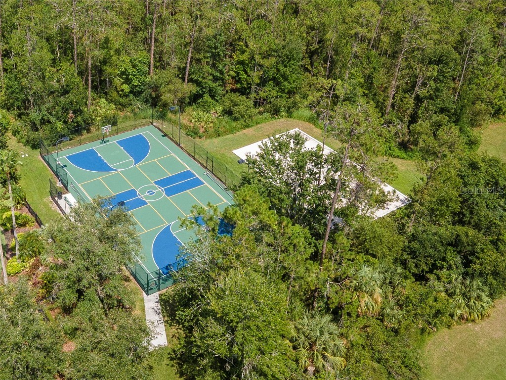 4527 Scarlet Loop Wesley Chapel FL 33544 TB8411553 image38