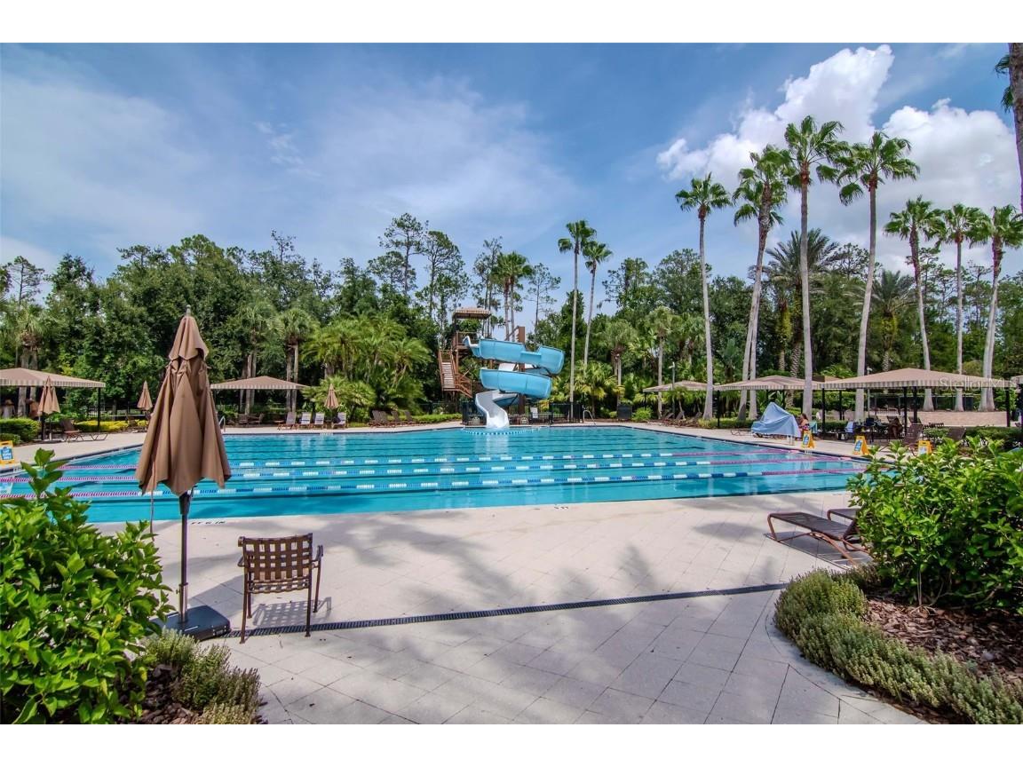 4527 Scarlet Loop Wesley Chapel FL 33544 TB8411553 image43