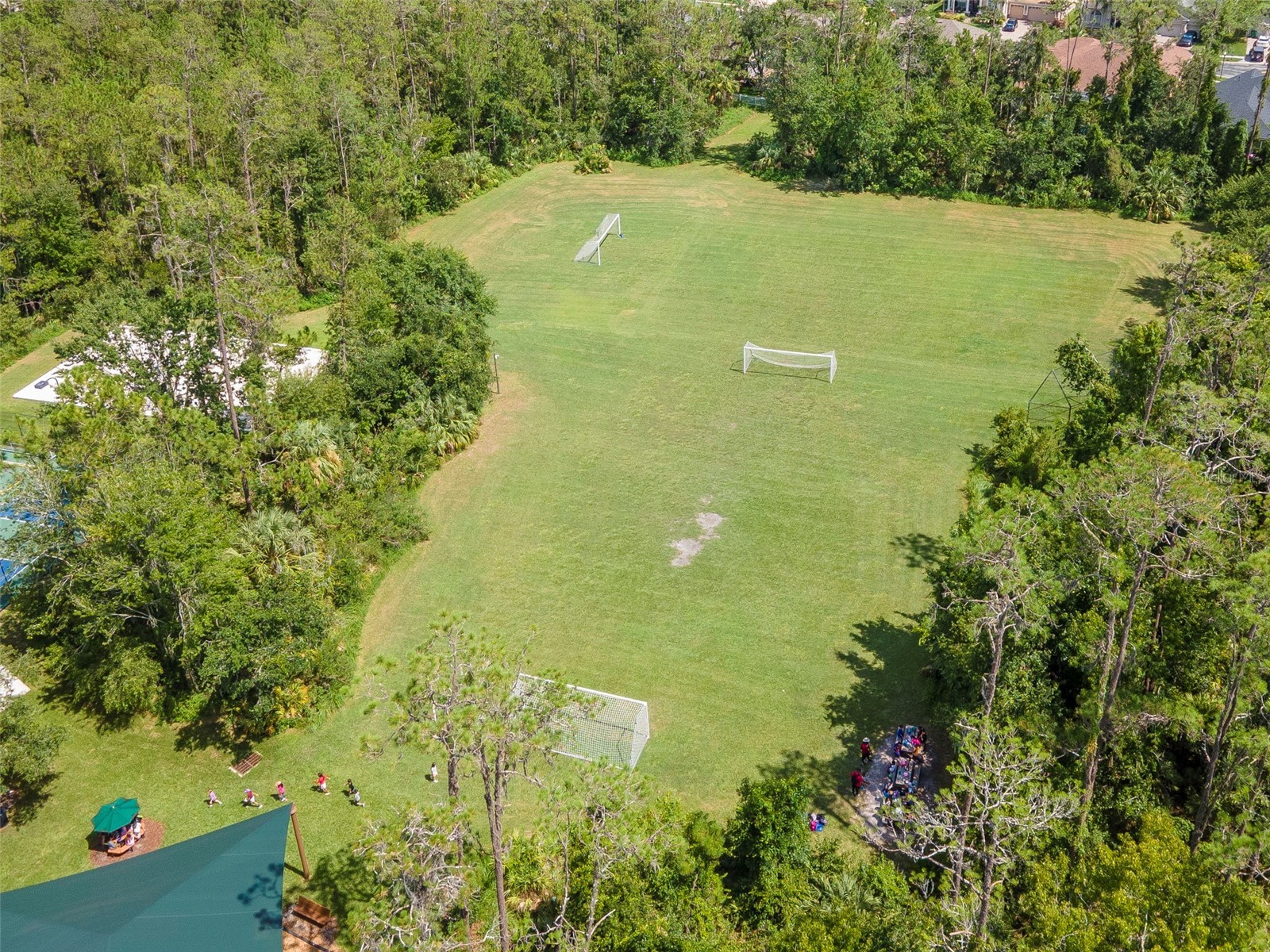 4527 Scarlet Loop Wesley Chapel FL 33544 TB8411553 image49
