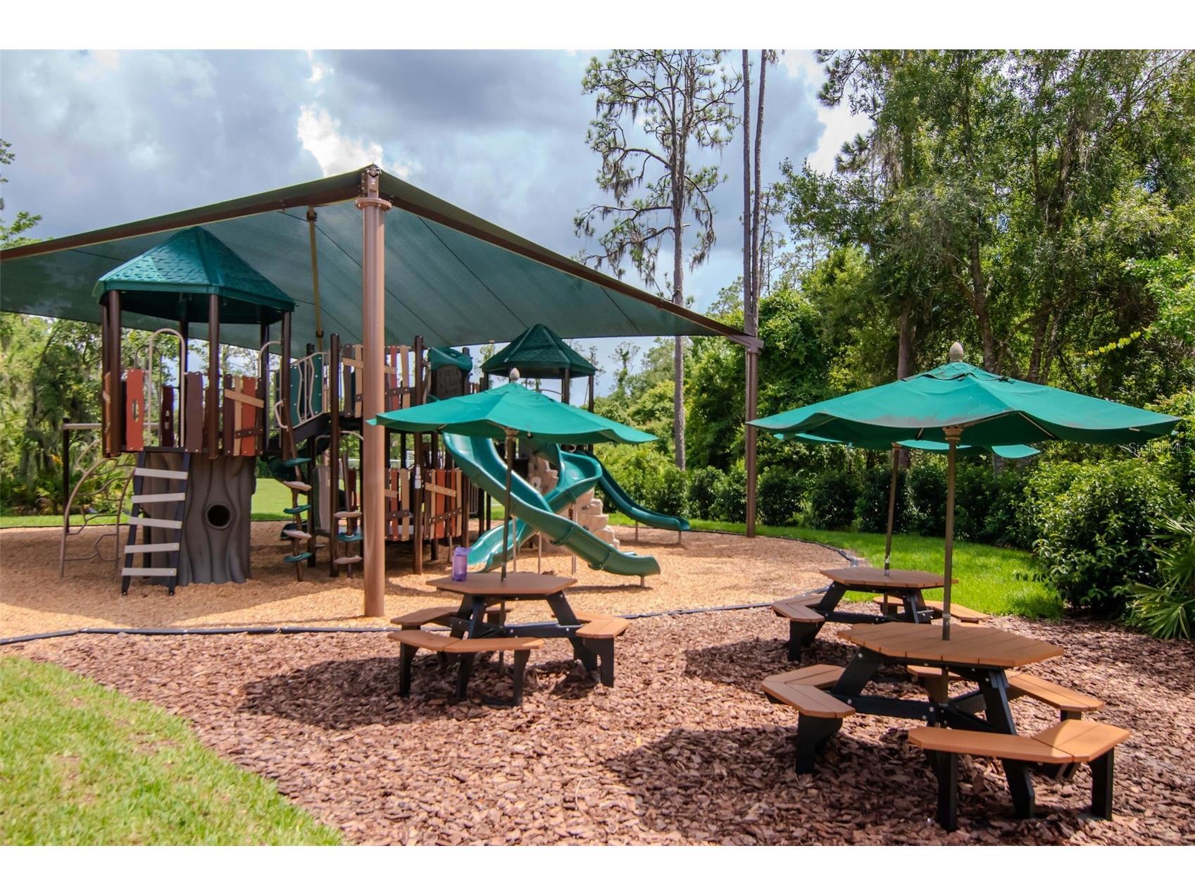 4527 Scarlet Loop Wesley Chapel FL 33544 TB8411553 image54
