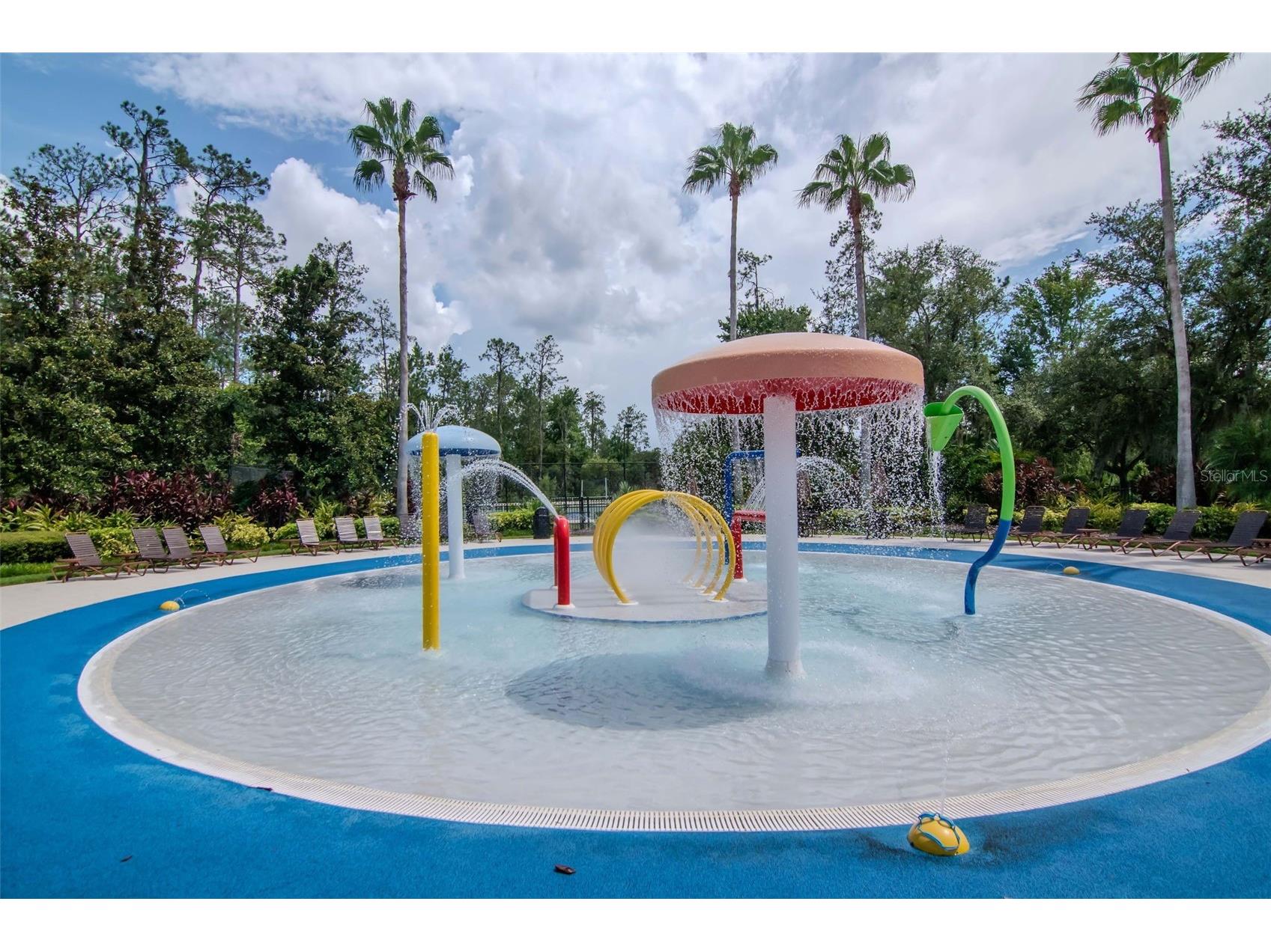 4527 Scarlet Loop Wesley Chapel FL 33544 TB8411553 image56