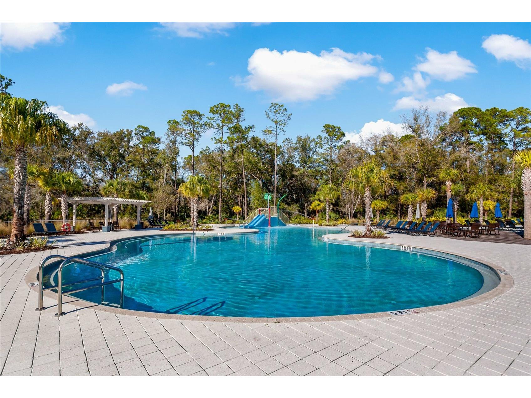 4528 Ballantrae Boulevard Land O Lakes FL 34638 TB8515214 image47