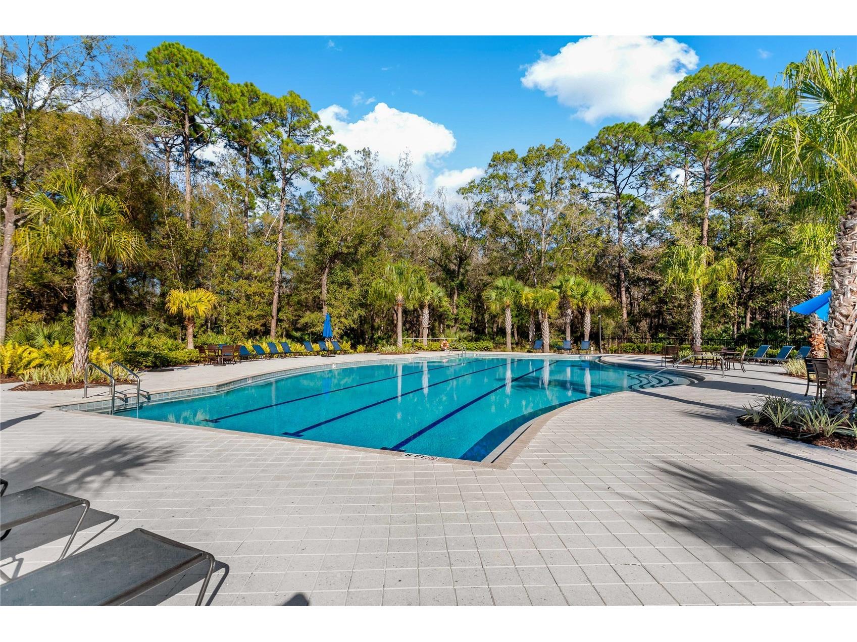 4528 Ballantrae Boulevard Land O Lakes FL 34638 TB8515214 image48