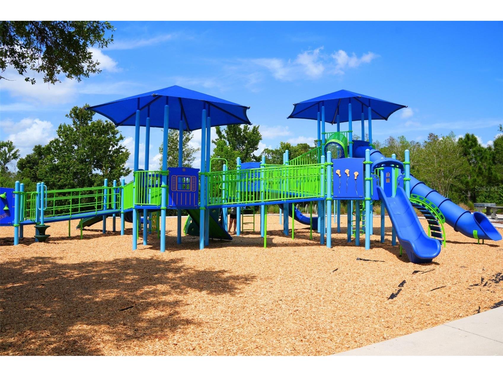 4528 Ballantrae Boulevard Land O Lakes FL 34638 TB8515214 image57
