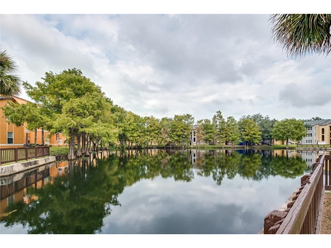 4528 Commander Drive #2011 Orlando FL 32822 O6363868 image27