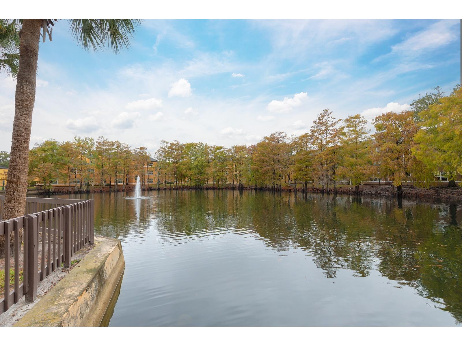 4528 Commander Drive #2018 Orlando FL 32822 O6356181 image15