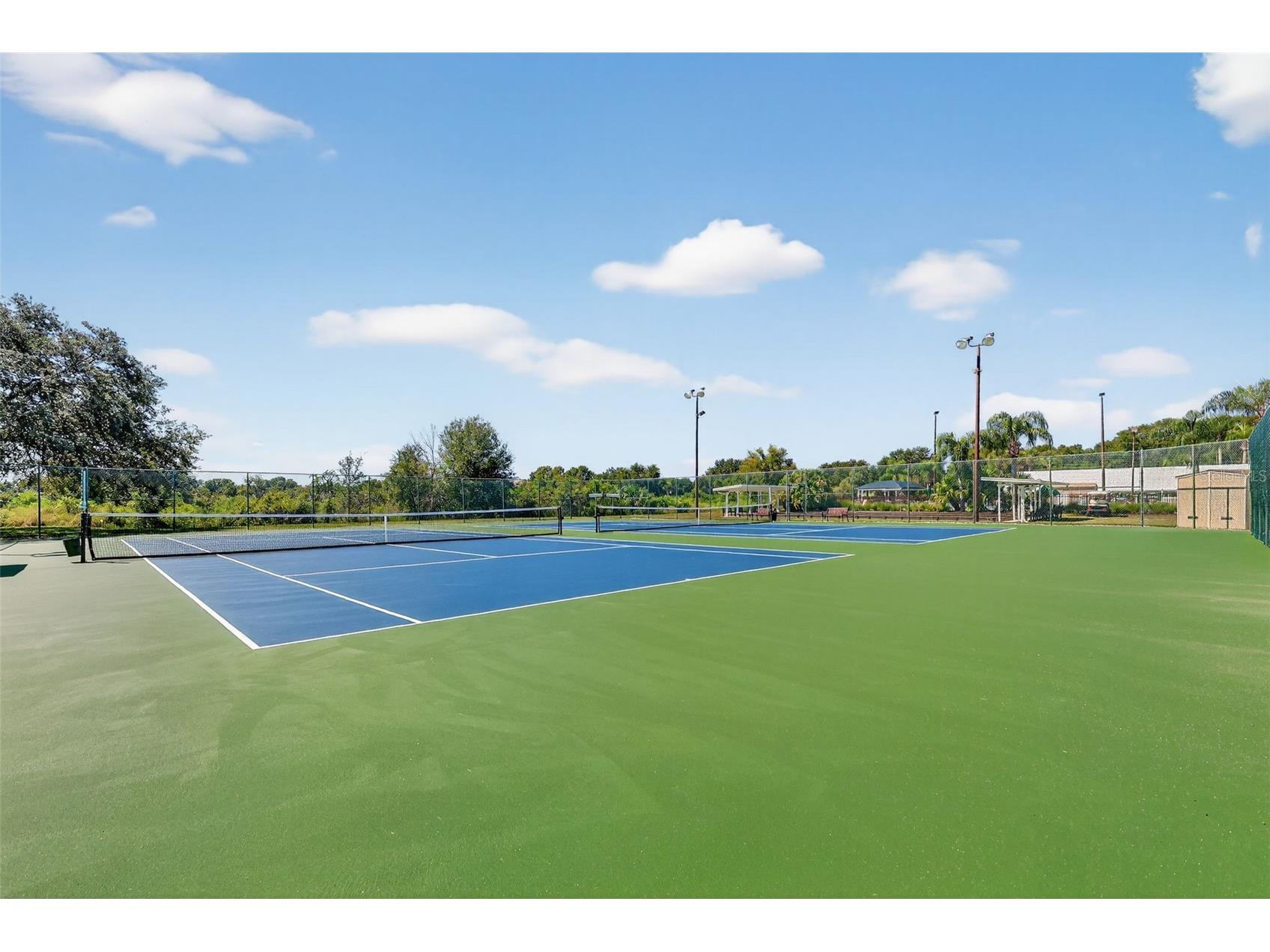 4528 Glen Coe Street Leesburg FL 34748 G5112912 image58