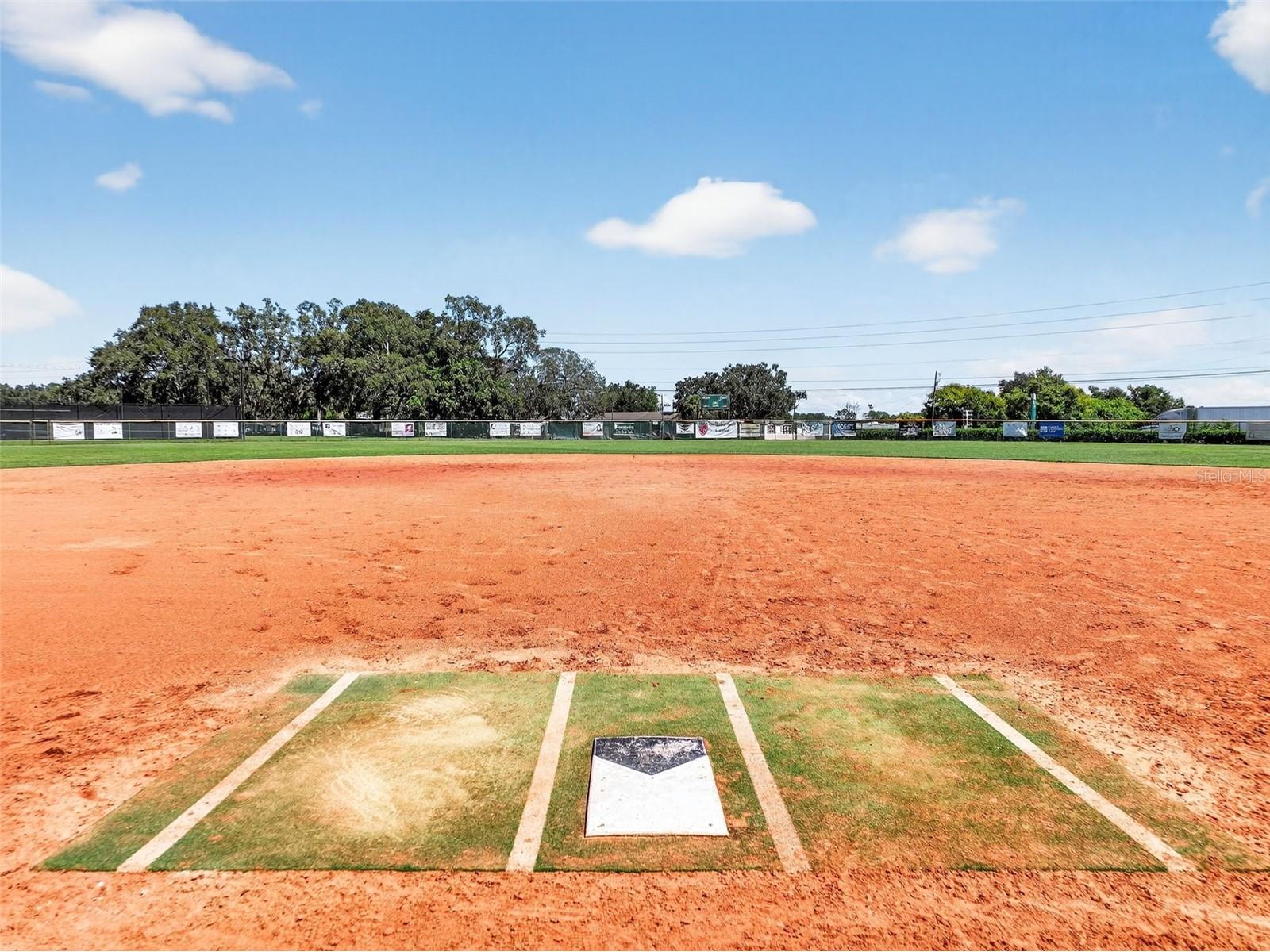 4528 Glen Coe Street Leesburg FL 34748 G5112912 image59