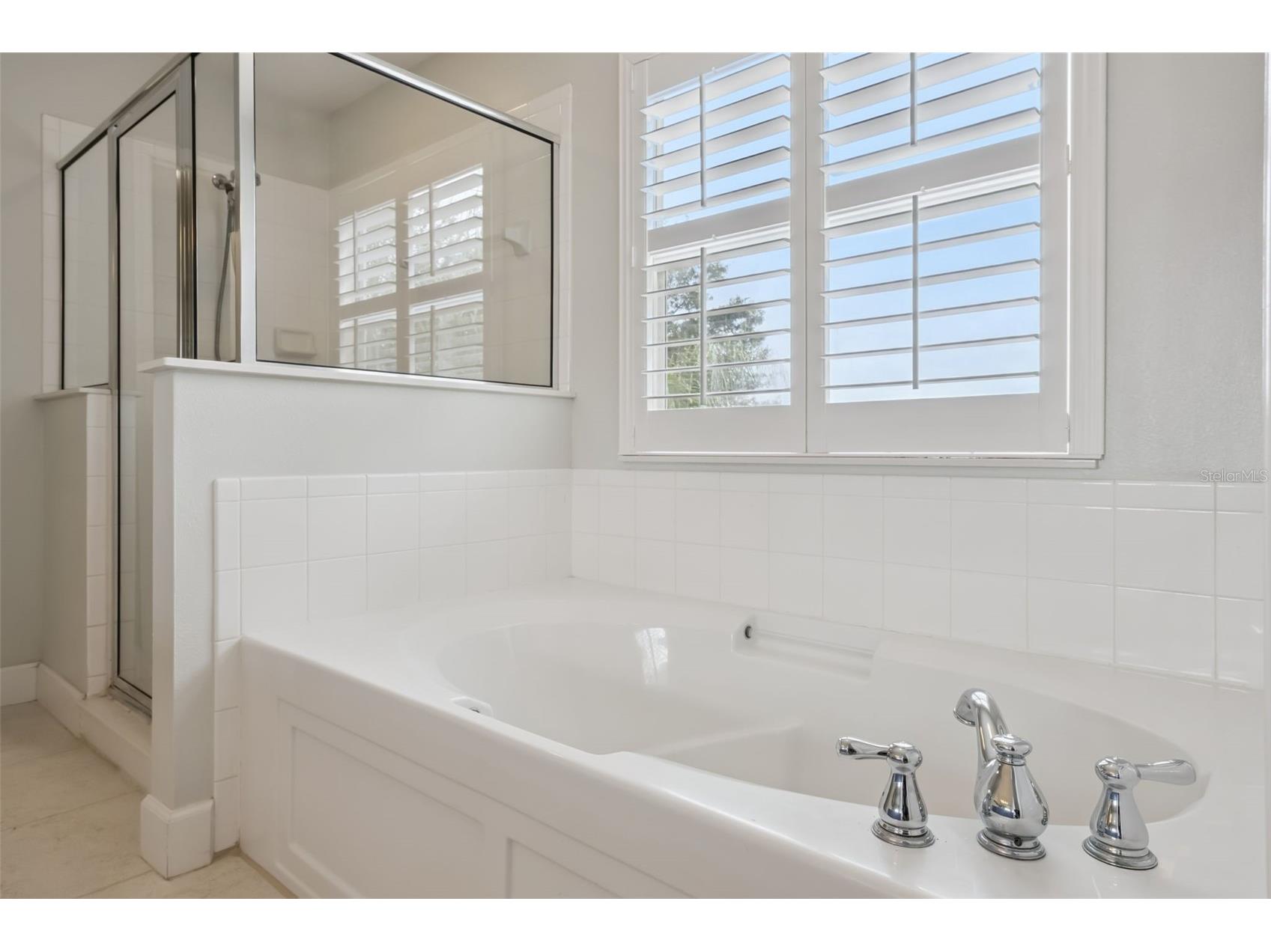4528 Olympia Court Clermont FL 34714 O6413028 image21