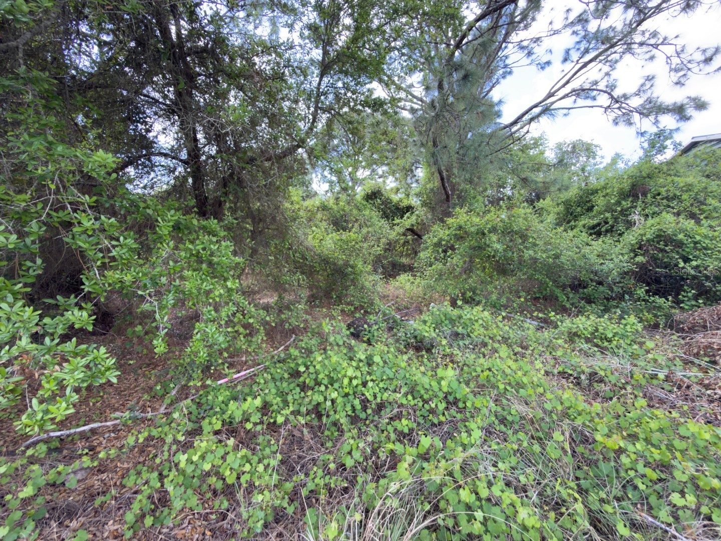 4529 28th Street SW Lehigh Acres FL 33973 C7524387 image3