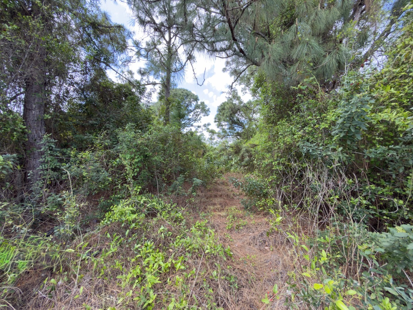 4529 28th Street SW Lehigh Acres FL 33973 C7524387 image4