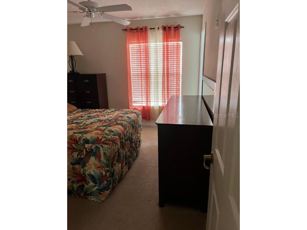 4529 Alberto Circle Kissimmee FL 34746 O6318625 image10