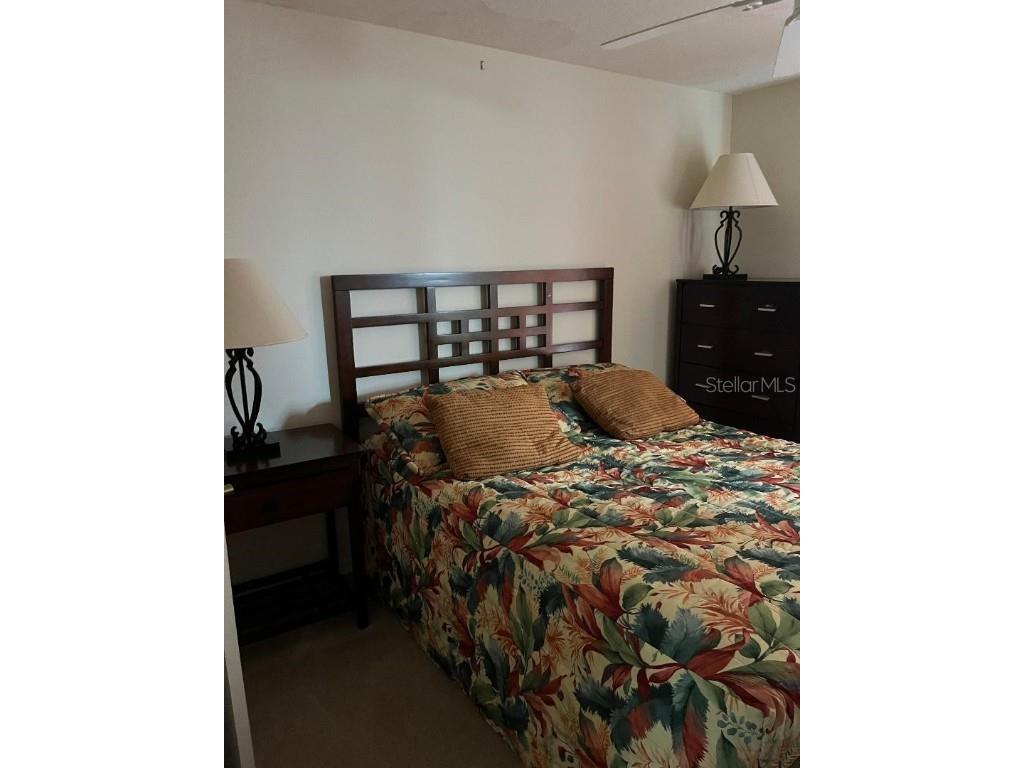 4529 Alberto Circle Kissimmee FL 34746 O6318625 image9