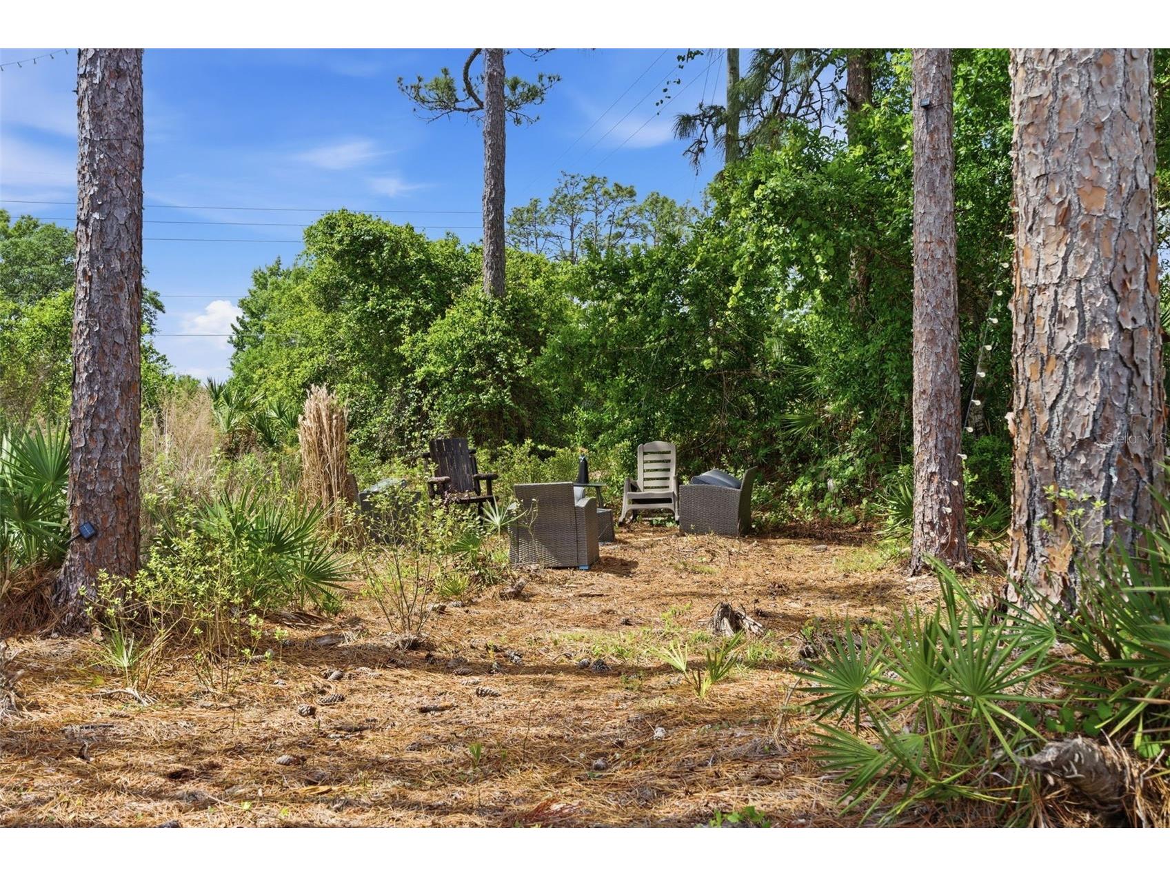 4529 Caesar Avenue Orlando FL 32833 O6397940 image45