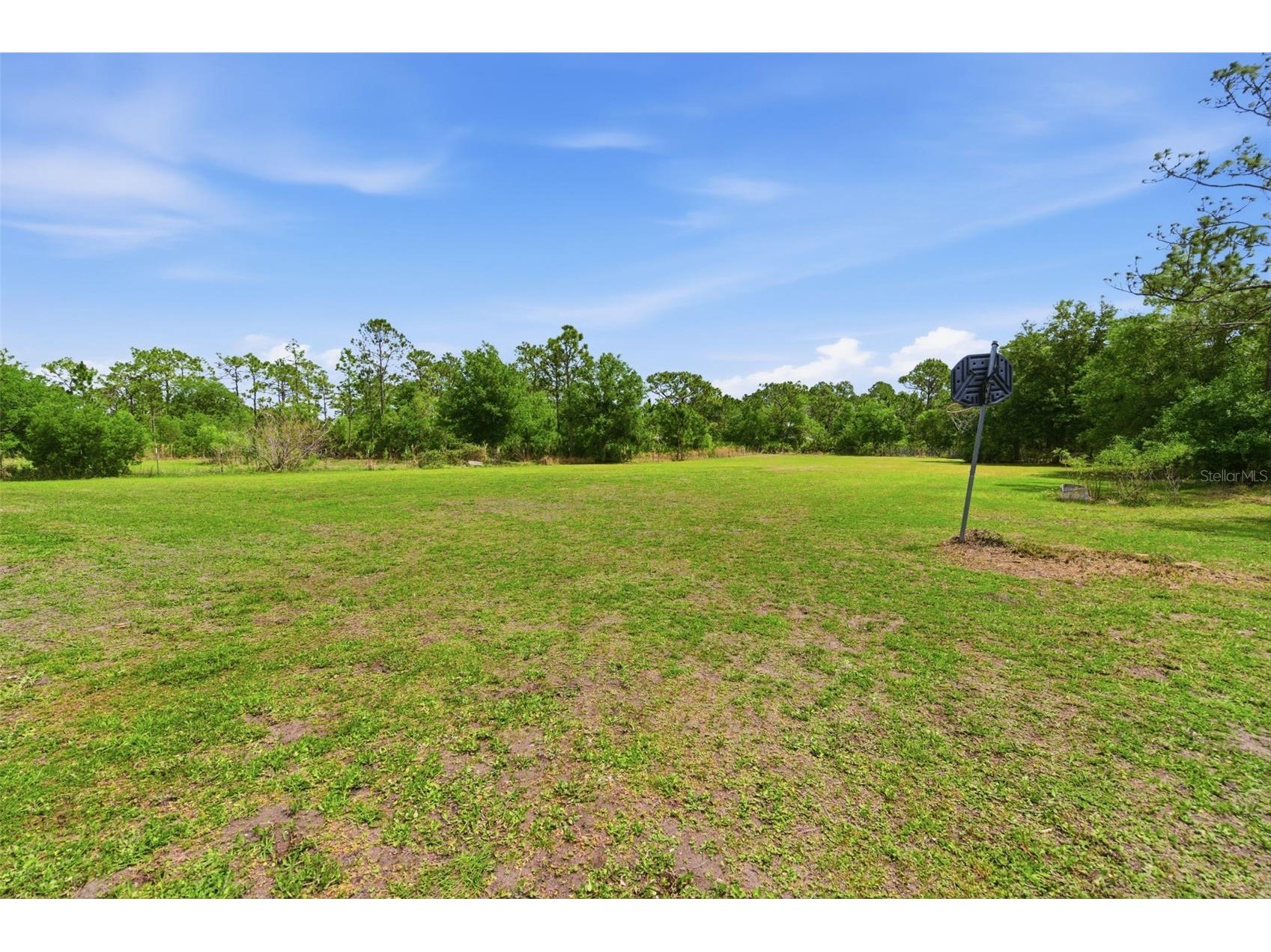 4529 Caesar Avenue Orlando FL 32833 O6397940 image50