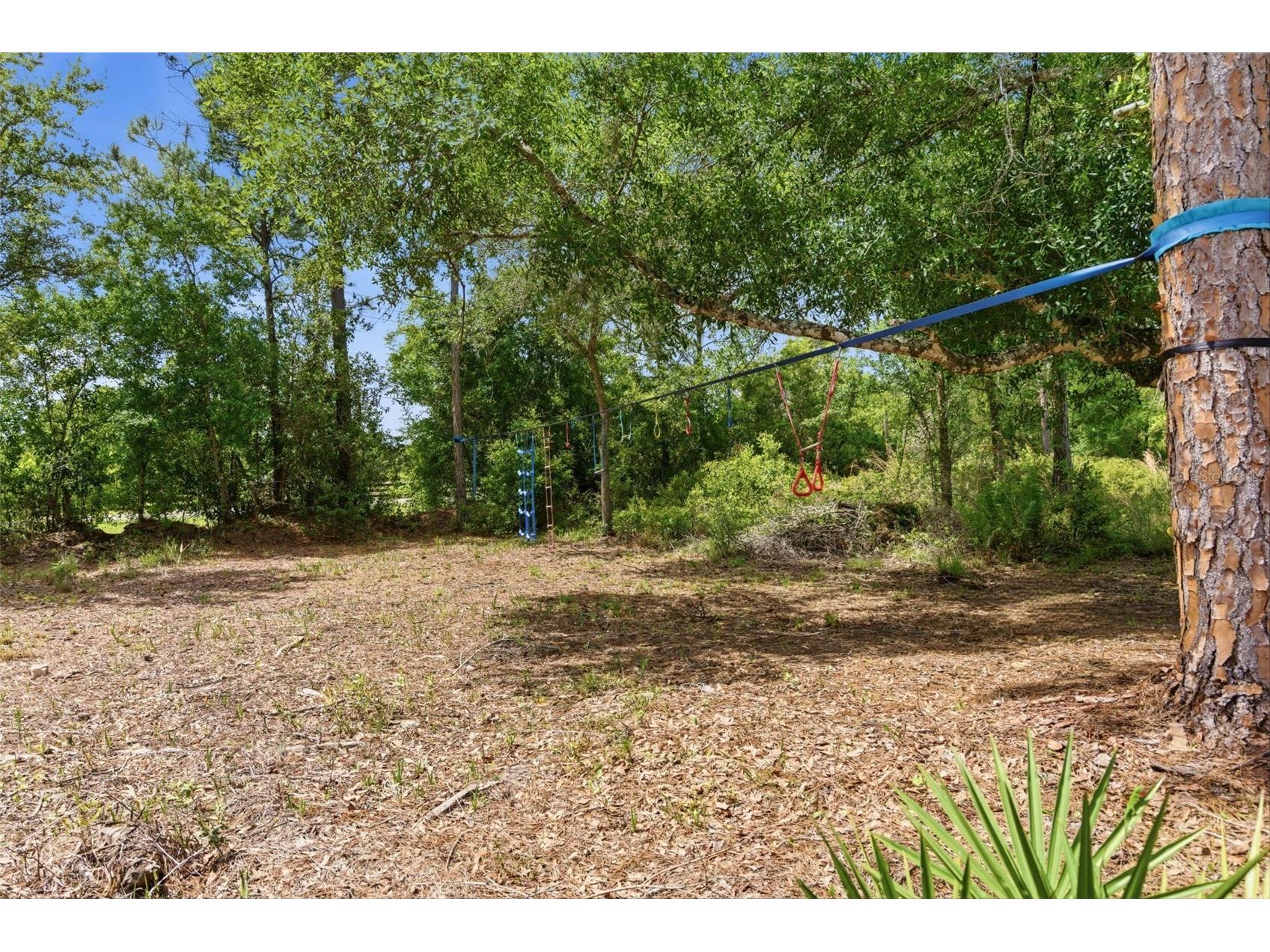 4529 Caesar Avenue Orlando FL 32833 O6397940 image51