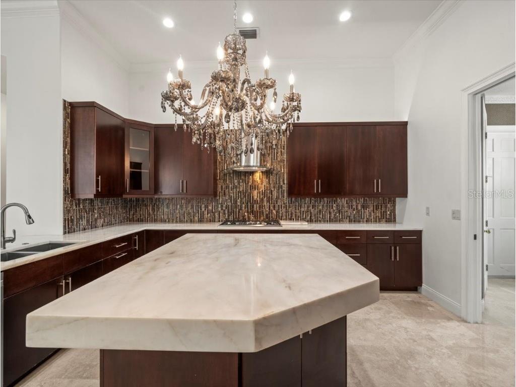 4529 Cheval Boulevard Lutz FL 33558 TB8415251 image23