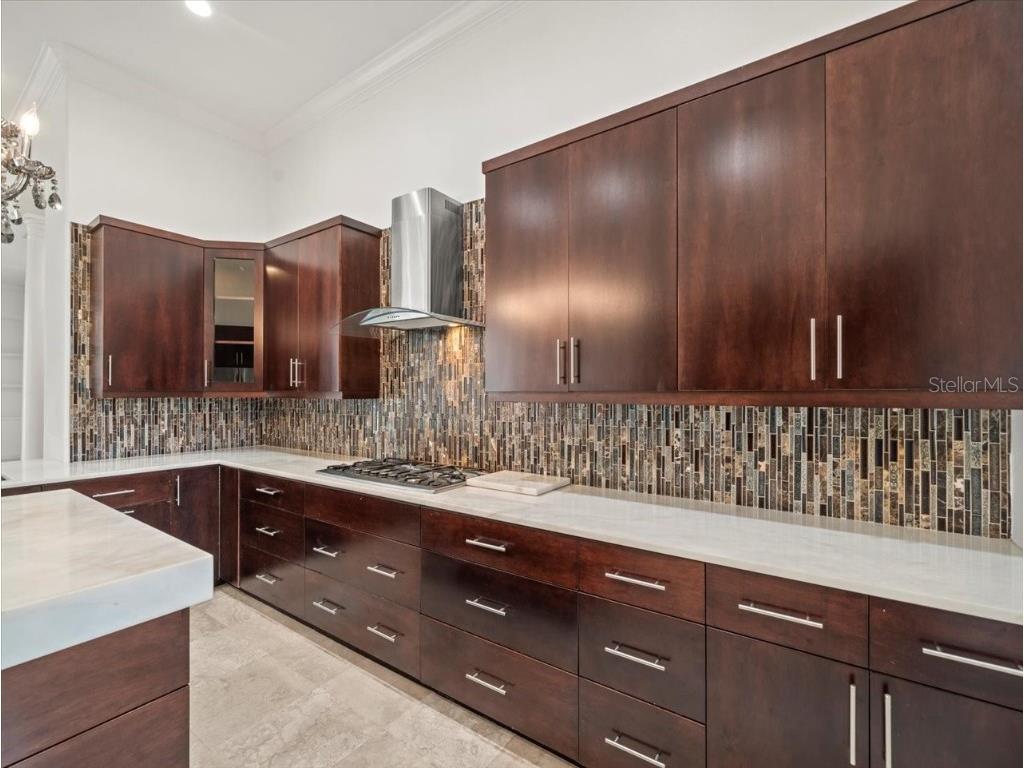 4529 Cheval Boulevard Lutz FL 33558 TB8415251 image24