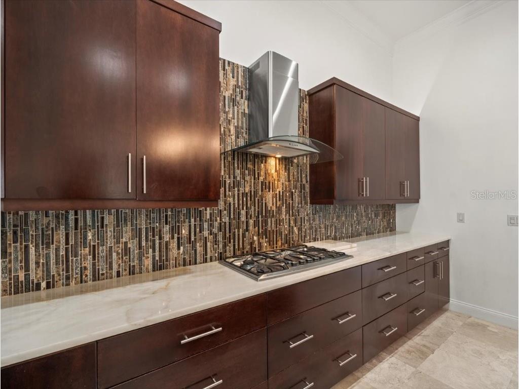 4529 Cheval Boulevard Lutz FL 33558 TB8415251 image26