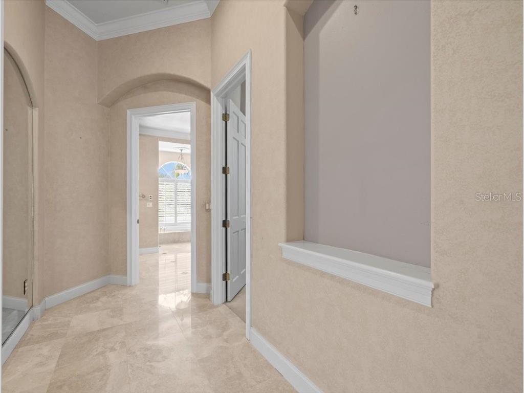 4529 Cheval Boulevard Lutz FL 33558 TB8415251 image39