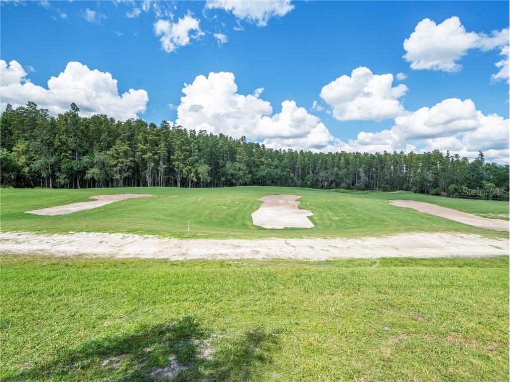 4529 Cheval Boulevard Lutz FL 33558 TB8415251 image73