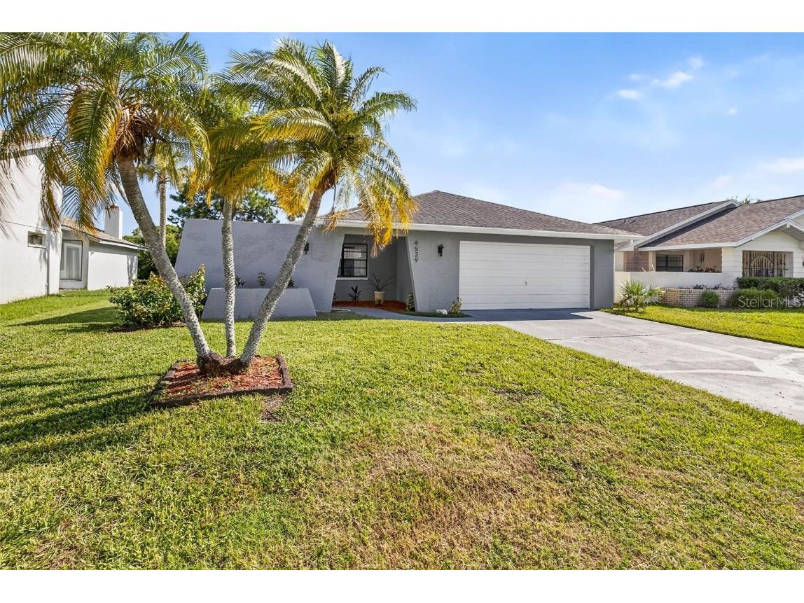 4529 Dewey Drive New Port Richey FL 34652 TB8416201 image1