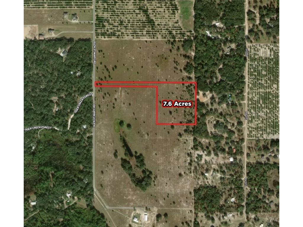 4529 Glen Saint Mary Rd Lake Wales FL 33898 P4928443 image1