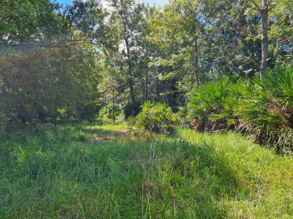 4529 Harder Avenue Sebring FL 33875 O6077504 image1