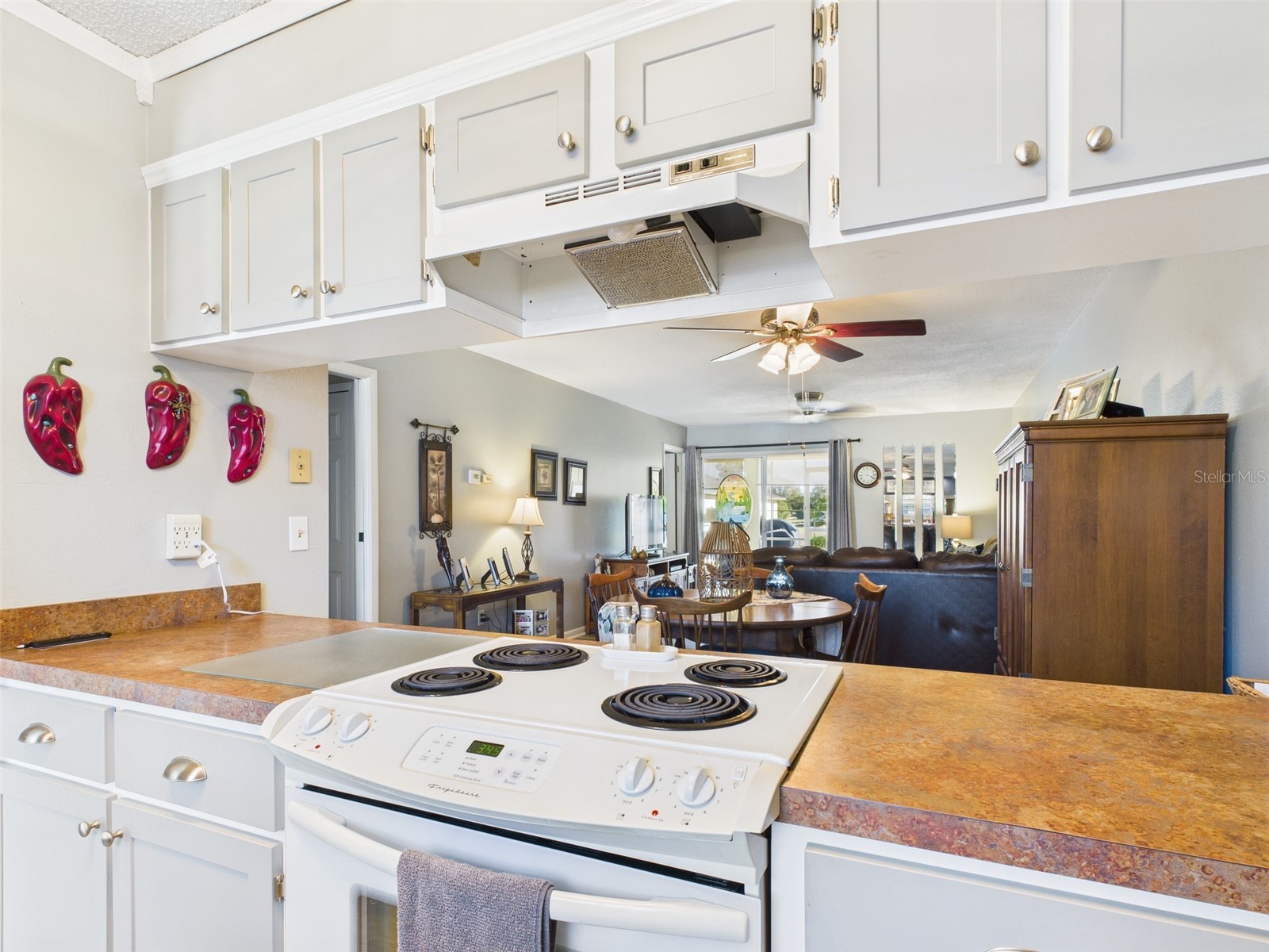 4529 Mercado Drive Sebring FL 33872 P4937661 image7